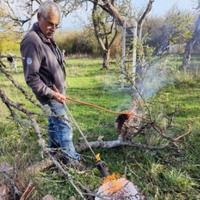 image-article-guepe-le-rucher-paulino